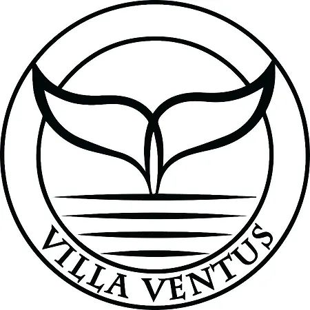 Ventus * レバル